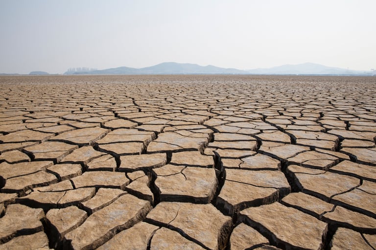 Cracked dried surface showing tension and fragmentation